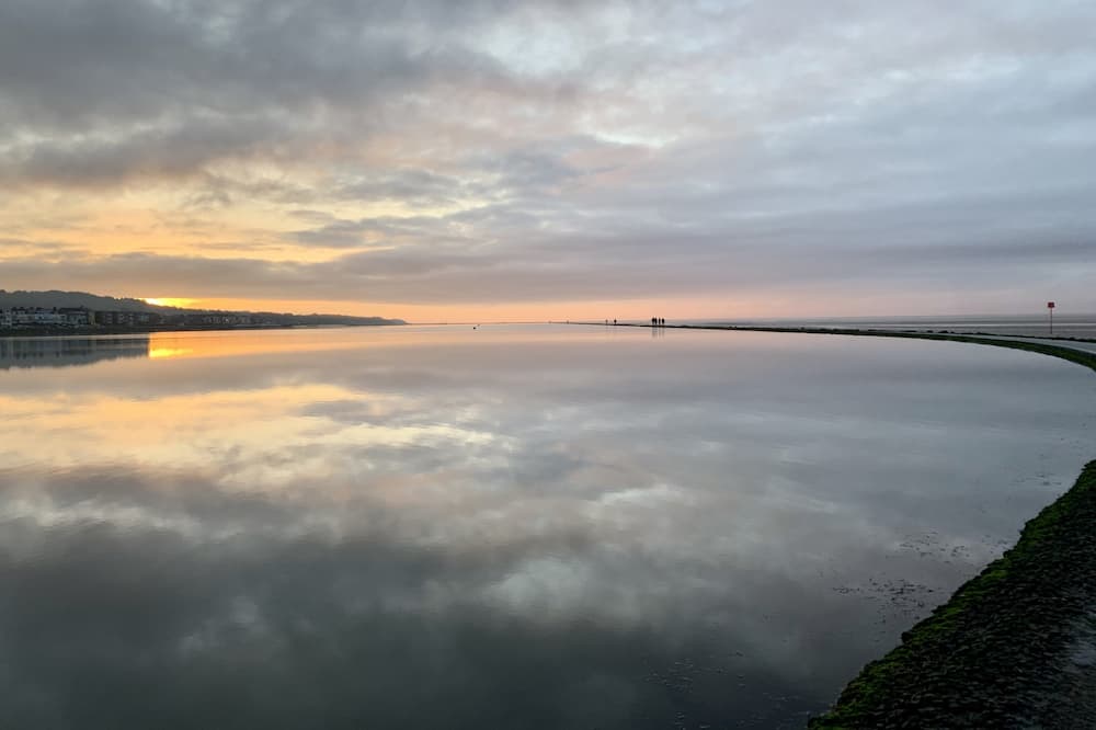 MOVE Netwalking 2020