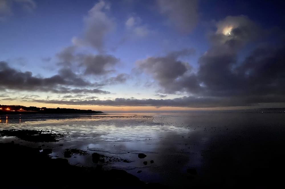 MOVE Netwalking Jan 2020