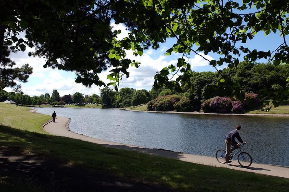 Netwalking Liverpool