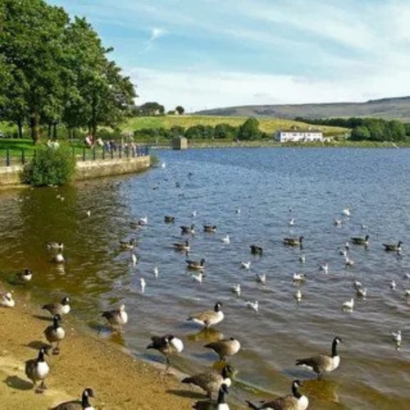 Netwalking Manchester